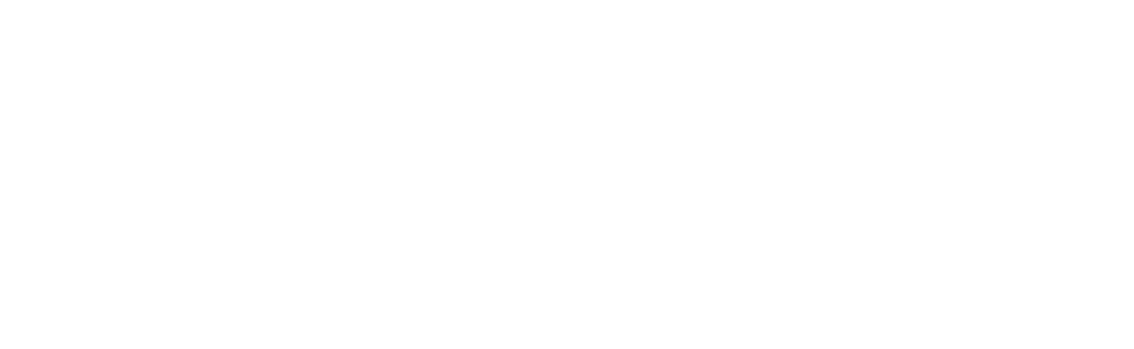 https://zkverify.io/