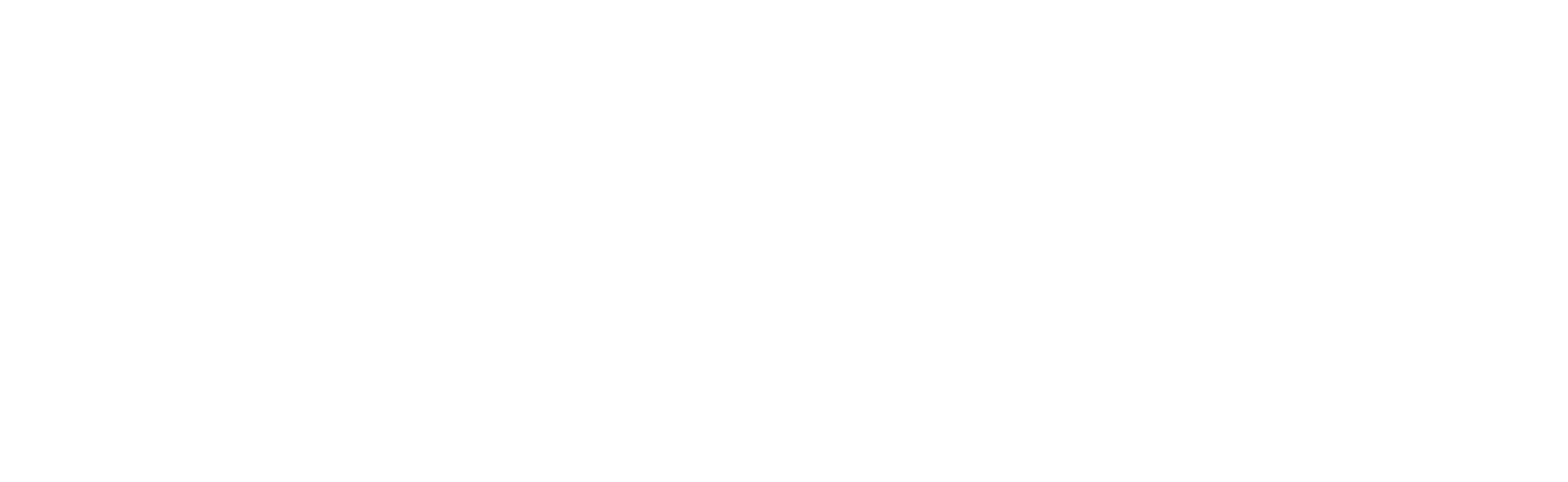 https://zkverify.io/